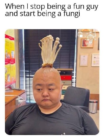When stop being а fun guy and start being a fungi НЕ 2