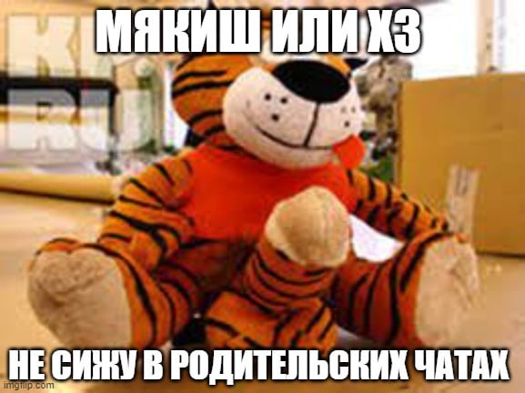 НЕ СИЖУ В РОДИТЕЛЬСКИХ ЧАТАХ