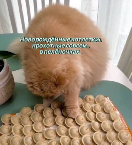 A Новорожденные котлетки! крохотные COBCEM.. впеленочках.. и