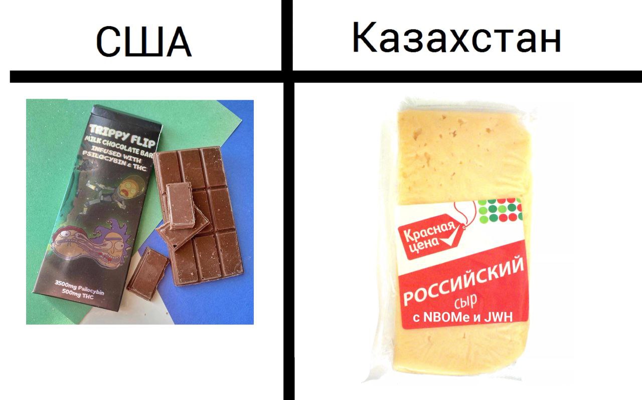 Казахстан США i 4 ver ский Stlocybin РОСС сыр с МВОМеи УМН