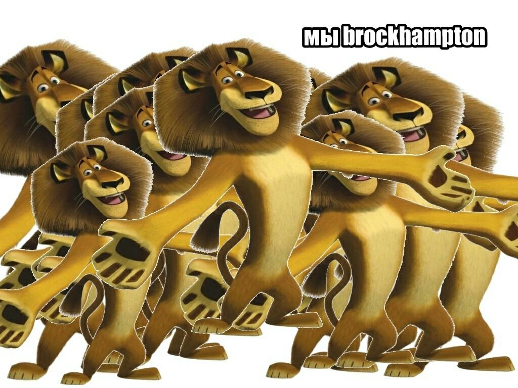 мы brockhampton у