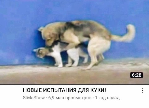6:28 НОВЫЕ ИСПЫТАНИЯ ДЛЯ КУКИ! SlivkiShow 6,9 млн просмотров 1 год назад