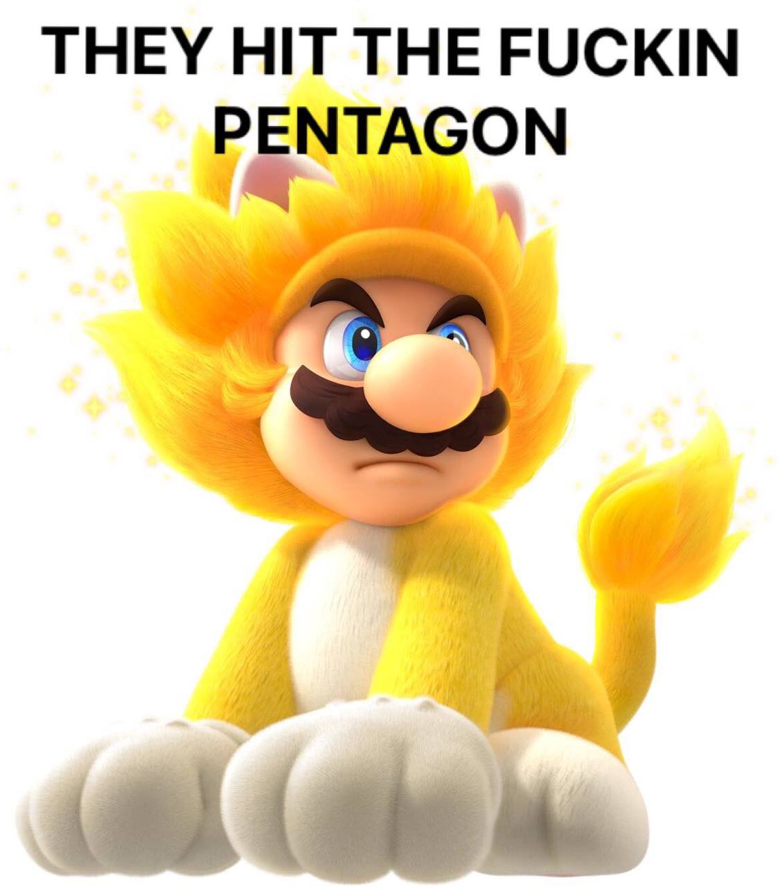 THEY HIT THE FUCKIN PENTAGON