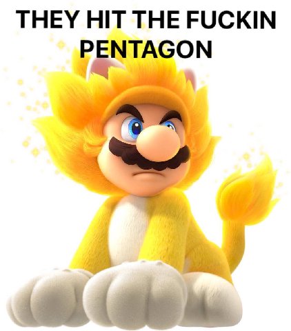 THEY HIT THE FUCKIN PENTAGON