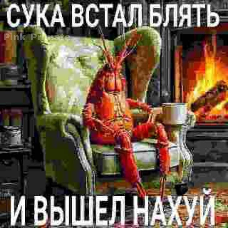 СУКА ВСТАЛ БЛЯТЬ ИВЫШЕЛ НАХУИ