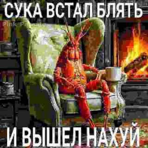 СУКА ВСТАЛ БЛЯТЬ ИВЫШЕЛ НАХУИ
