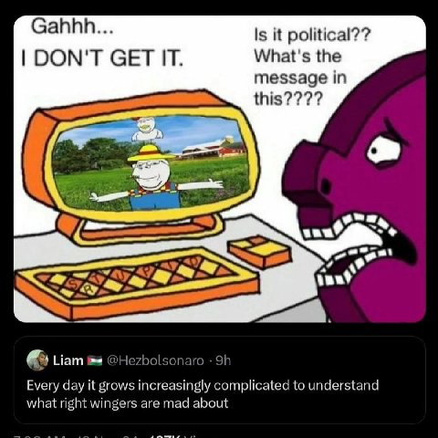 Is it political?? DON'T GET IT. What's the message in Нат @Hezbolsonaro Every day it grows increasingly complicated to understand what right wingers are mad about