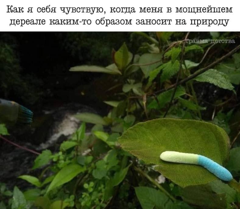 Как я себя чувствую, когца меня в мошнейшем дереале каким-то образом заносит на природу