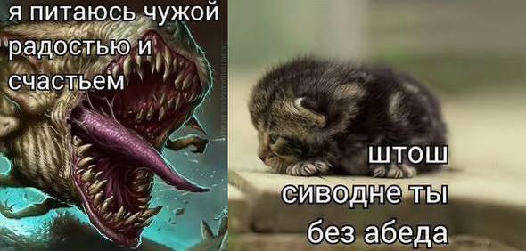 Я питаюсь ‚чужой радостью. и счастьем 4 ШТОШ без абеда