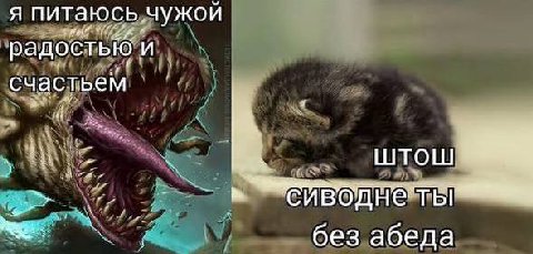 Я питаюсь ‚чужой радостью. и счастьем 4 ШТОШ без абеда