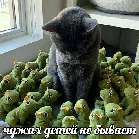 чужих детей бывает