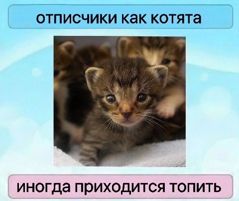 отписчики как котята иногда приходится топить