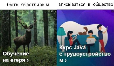 быть счастливым вписываться в общество Курс Java Обучение с трудоустройство на егеря