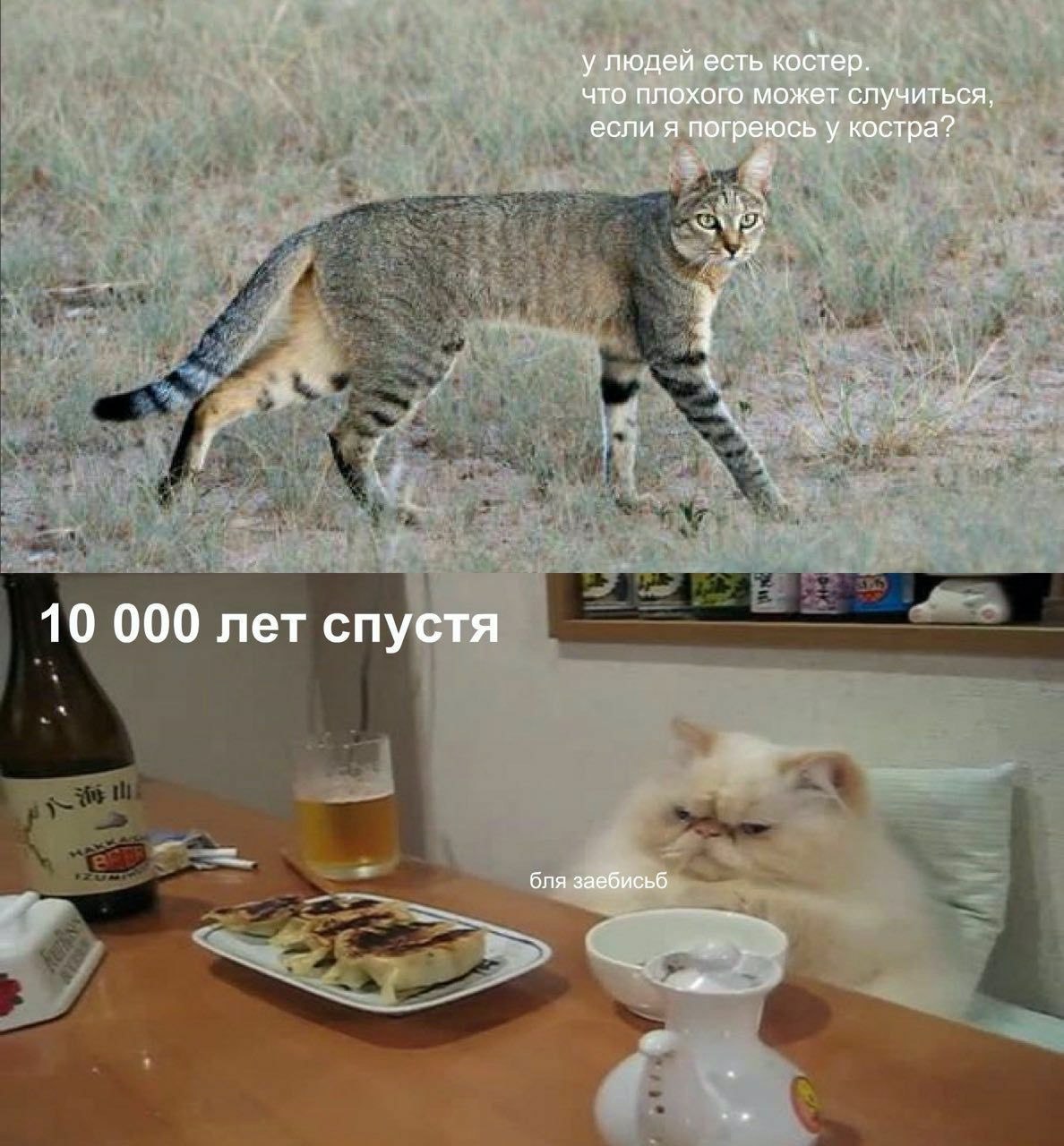у людей есть костер. что плохого может случиться, если я погреюсь у костра? 10 000 лет спустя бля заебисьб
