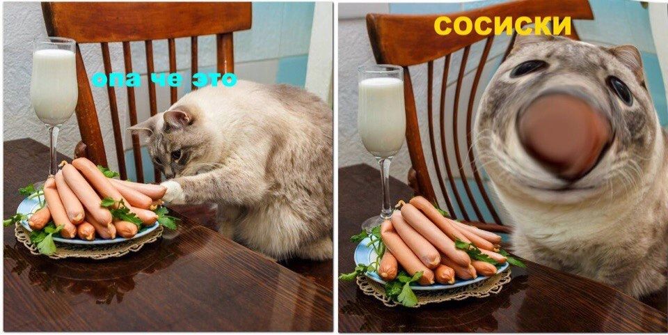 FTE СОСИСКИ 4