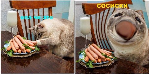 FTE СОСИСКИ 4