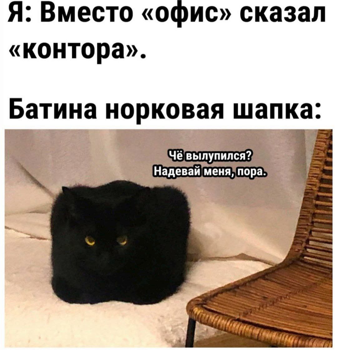 Я: Вместо «офис» сказал «контора» Батина норковая шапка: