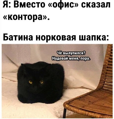Я: Вместо «офис» сказал «контора» Батина норковая шапка: