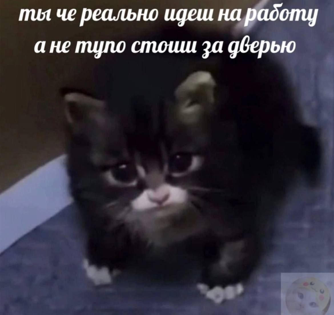 пил че реально идеш на радоту ане тупо стошш за дверью 4