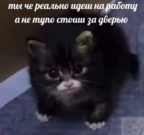 пил че реально идеш на радоту ане тупо стошш за дверью 4