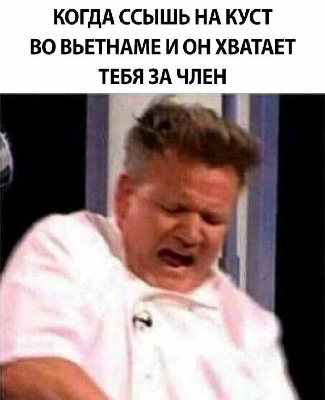 КОГДА ССЫШЬ НА КУСТ ВО ВЬЕТНАМЕ И ОН ХВАТАЕТ ТЕБЯ ЗА ЧЛЕН
