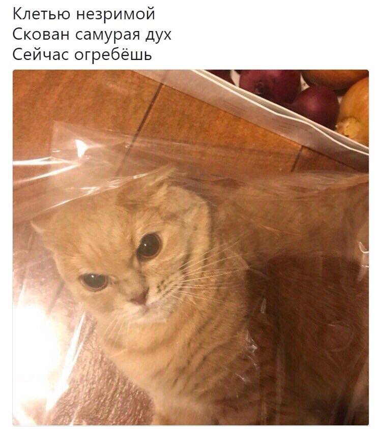 правильная хайку, кстати. 5-7-5