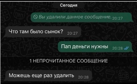 Сегодня Вы удалили данное сообщение. 99:97 Что там было сынок? 20:27 Пап деньги нужны 95-09 7 1 НЕПРОЧИТАННОЕ СООБЩЕНИЕ Можешь еще раз удалить 45.90
