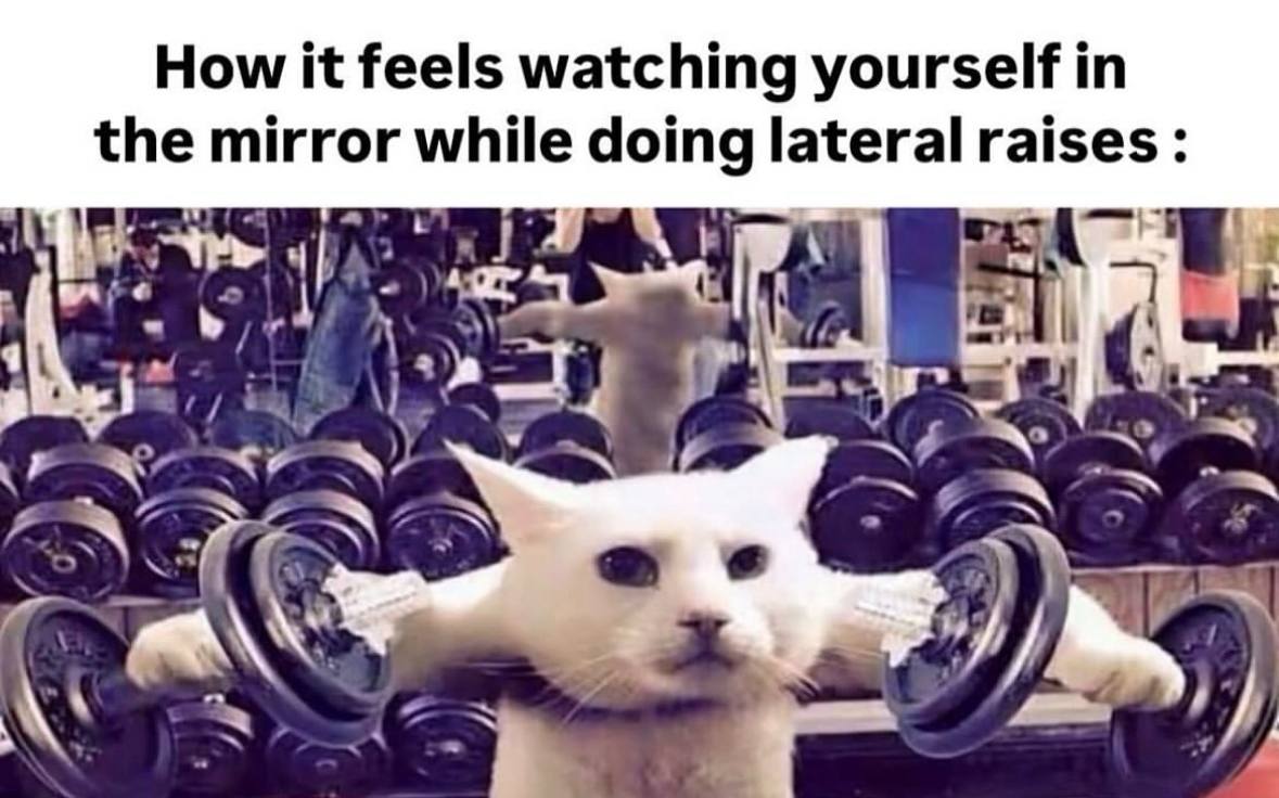 How it feels watching yourself the mirror while doing lateral raises