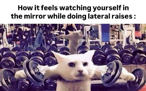 How it feels watching yourself the mirror while doing lateral raises