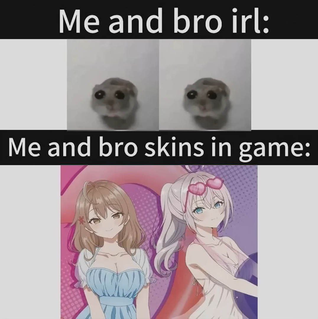 Me and bro trl: Me and bro skins in game: