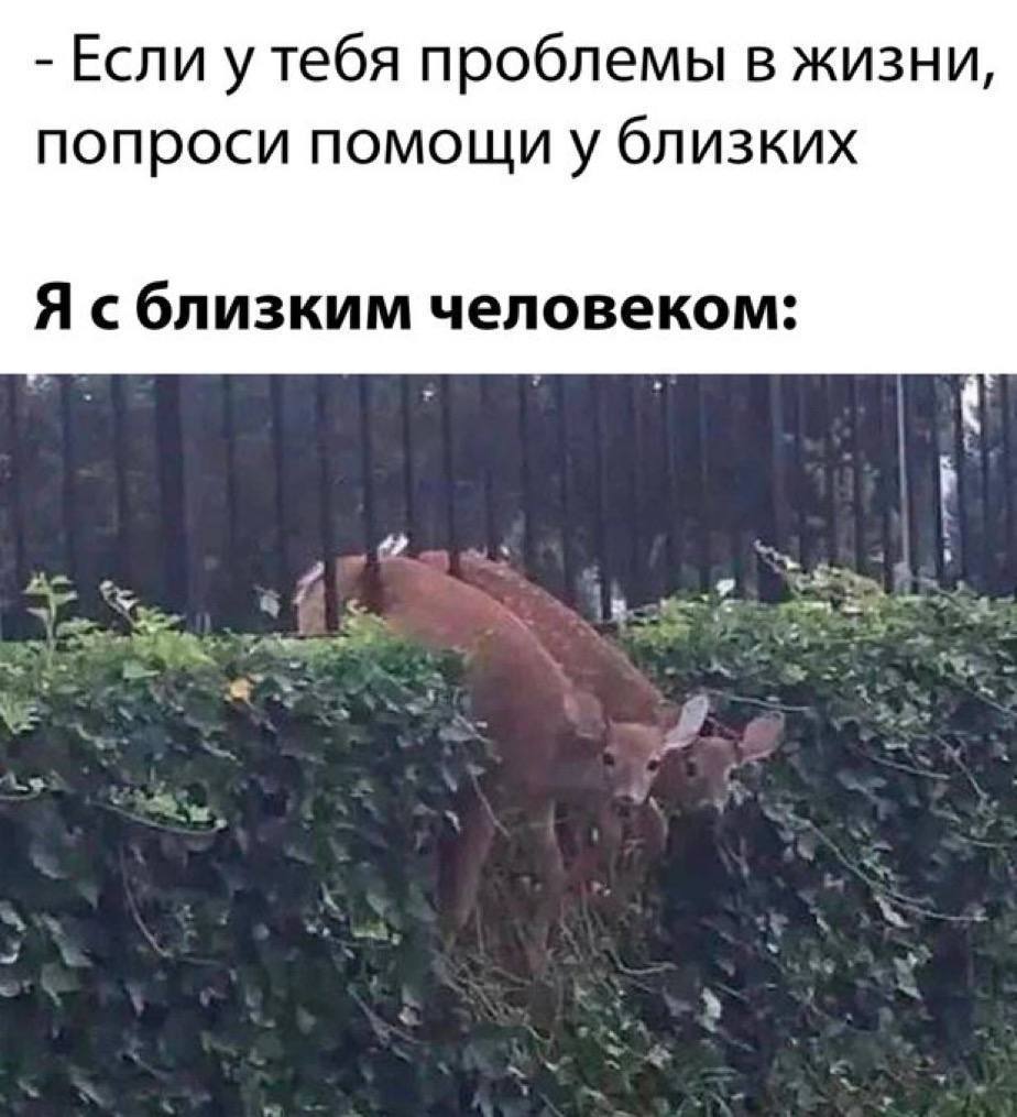 Если у тебя проблемы в жизни, попроси помощи у близких Я сблизким человеком: A A