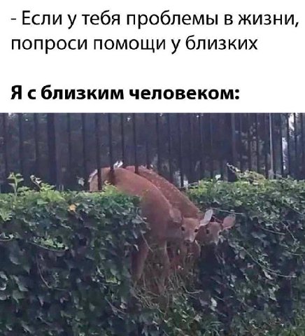 Если у тебя проблемы в жизни, попроси помощи у близких Я сблизким человеком: A A