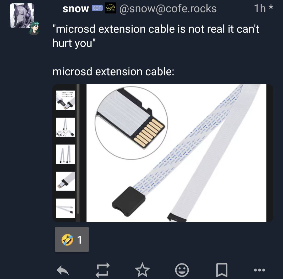 snow @snow@cofe.rocks extension cable is not real it can't hurt you" microsd extension cable: 1