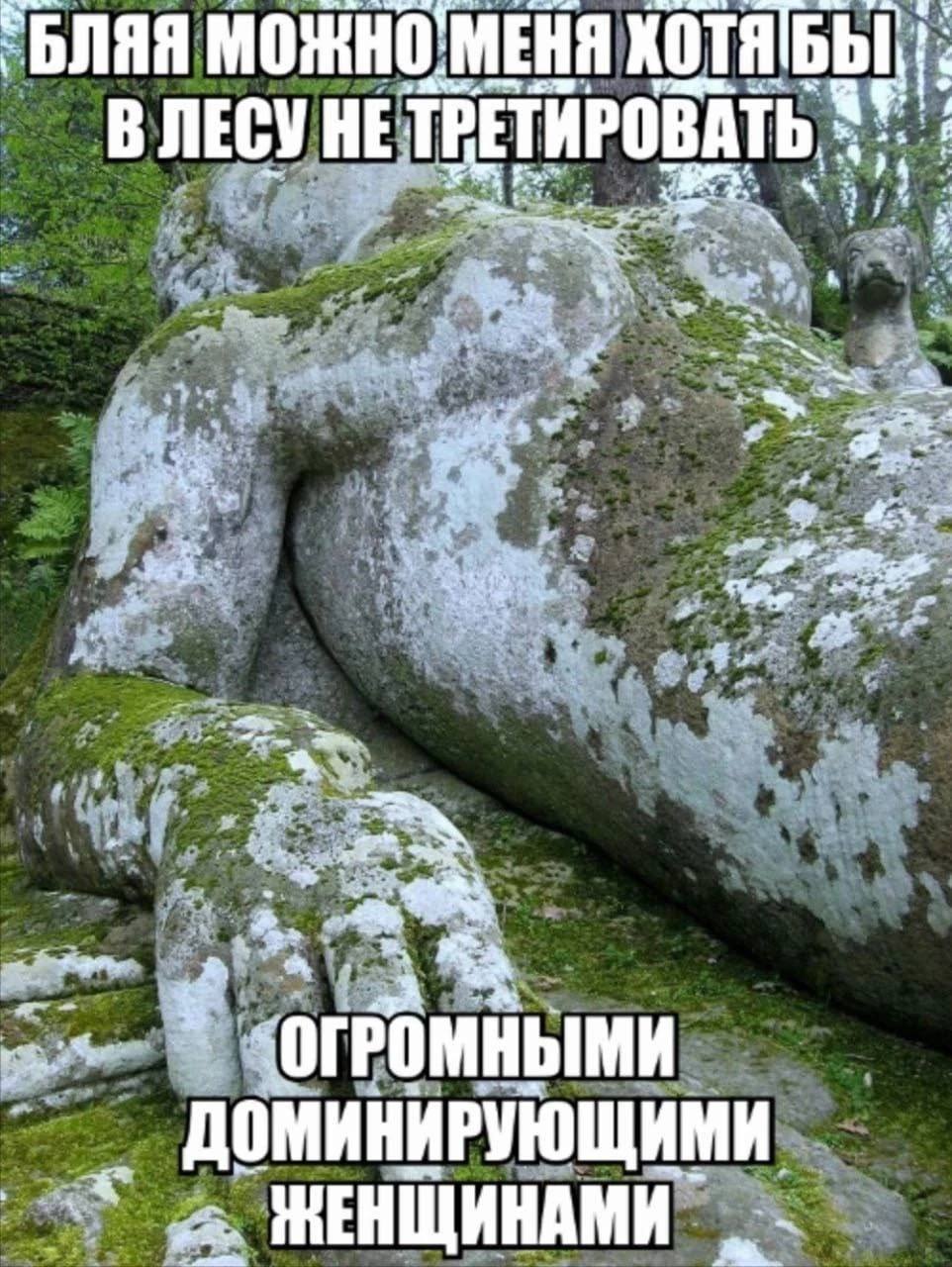 МОЖНО МЕНЯ В ЛЕСУ НЕТРЕТИРОВАТЬ 2 7 a ЗОГРОМНЫМИ ДОМИНИРУЮЩИМИ