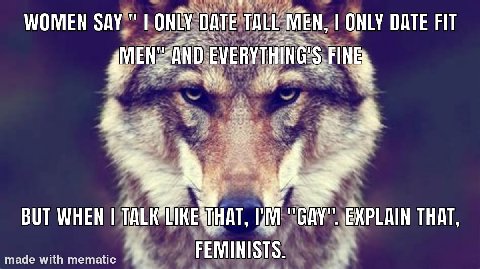 WOMEN SAY" ONLY DATE TALL МЕН, ONLY DATE FIT EVERYTHING'S FINE BUT WHEN TALK*CIKESPHAT, "GAY". EXPLAIN THAT, made with mematic FEMINISTS.