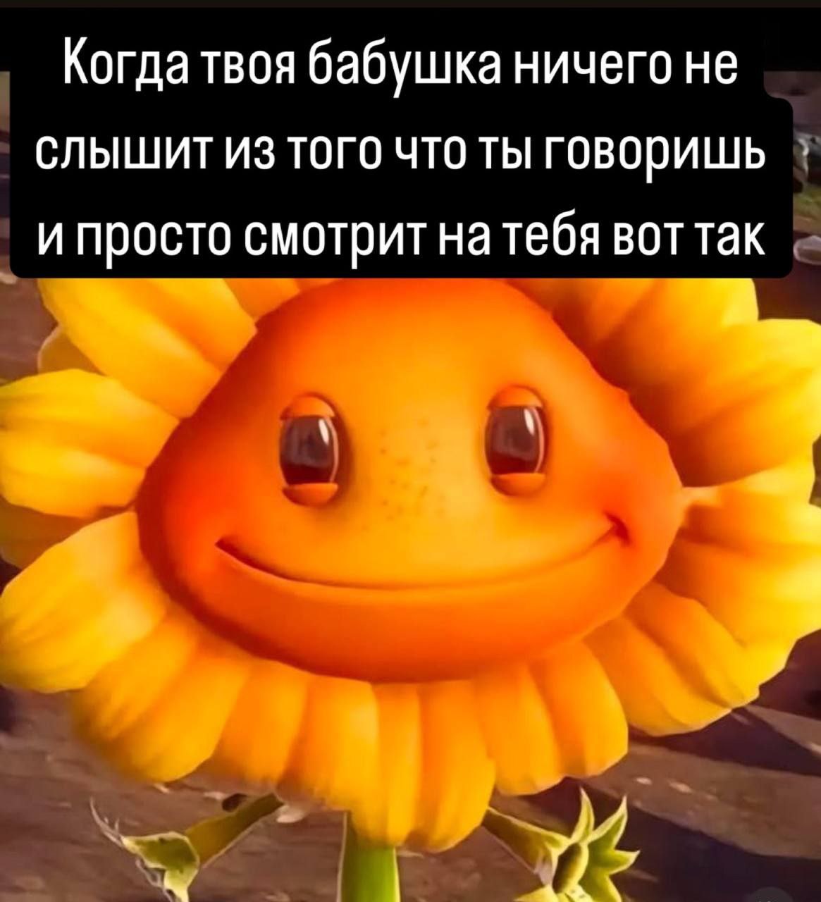 Когда твоя бабушка ничего не слышит из того что ты говоришь и просто смотрит на тебя воттак 4
