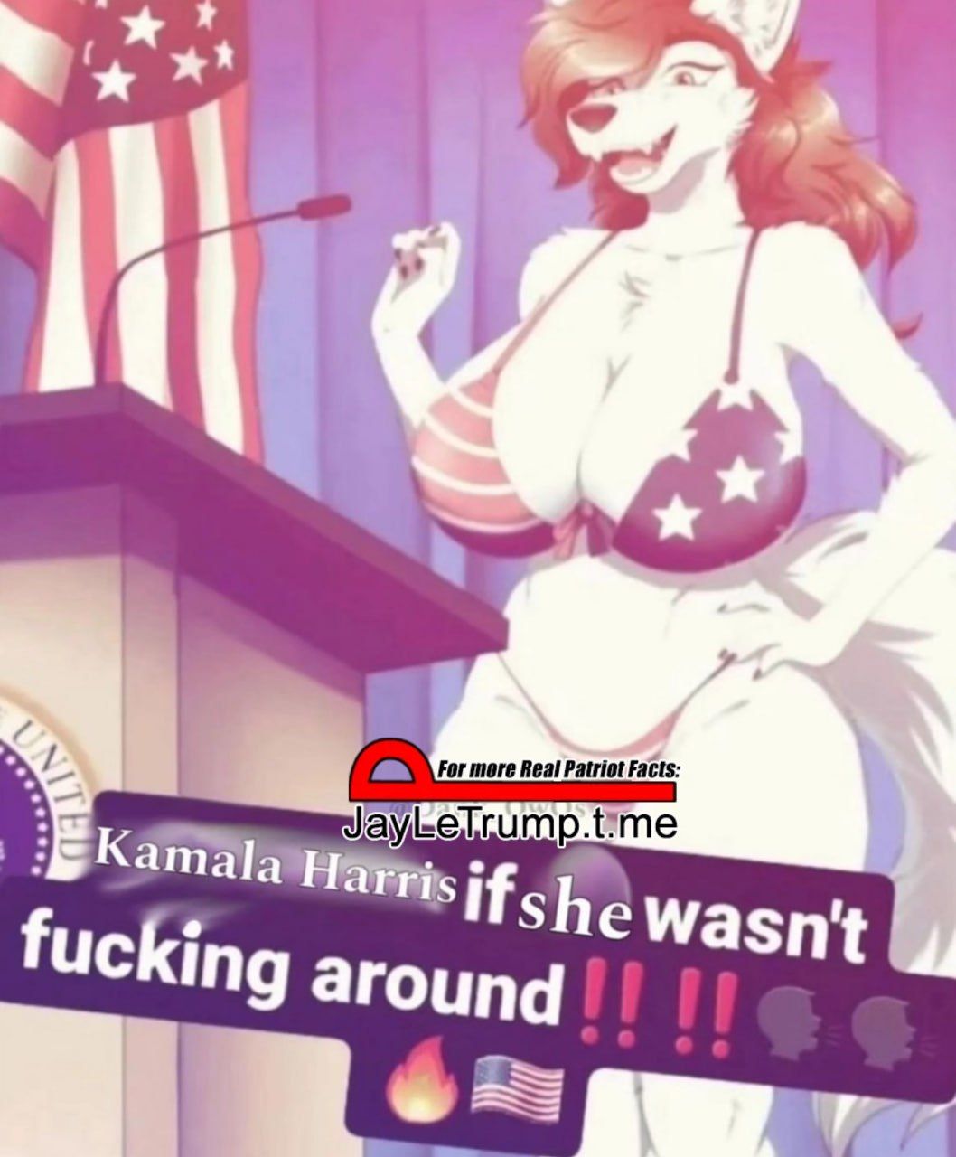 ❕🚨Kamala Harris if she was a Patriot 🦅🇱🇷🗽