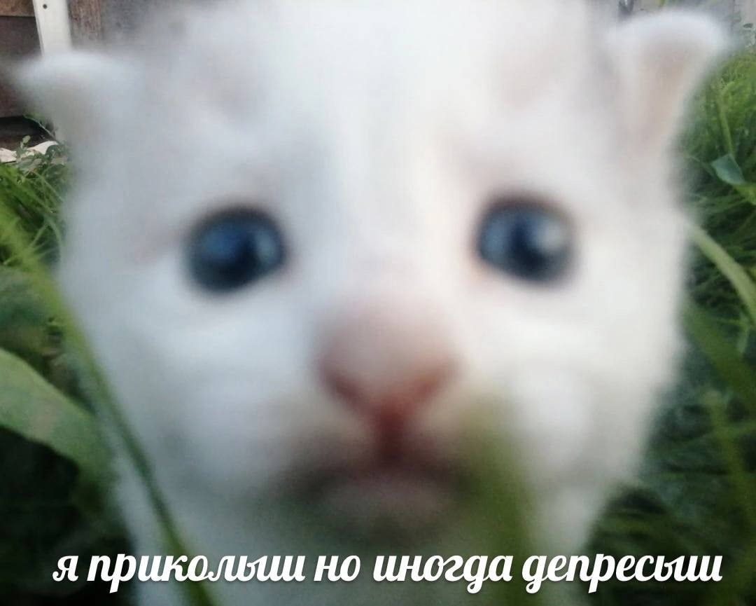 4 я прикольии но иногда депресьии