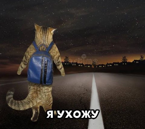 Моя адекватность, когда мне стало комфортно с человеком: