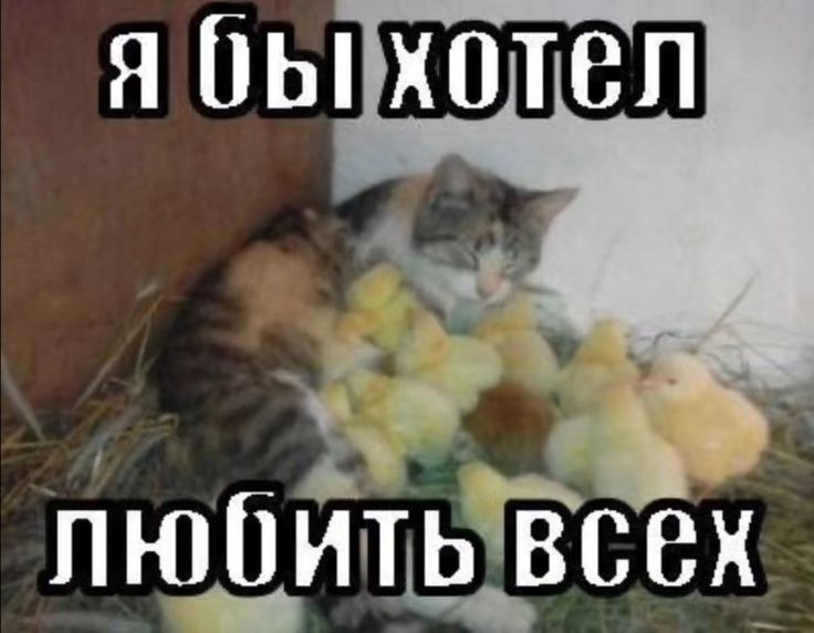 я бы хотел любить всех
