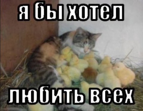 я бы хотел любить всех