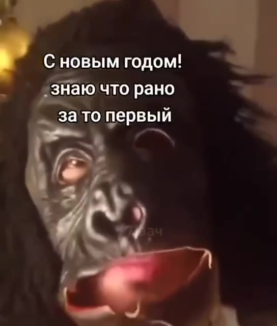 | новым годом! __ знаю что рано — зато первый Bi | Gaoee годом! a Fe за то первый за топервый