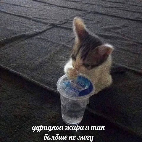 я