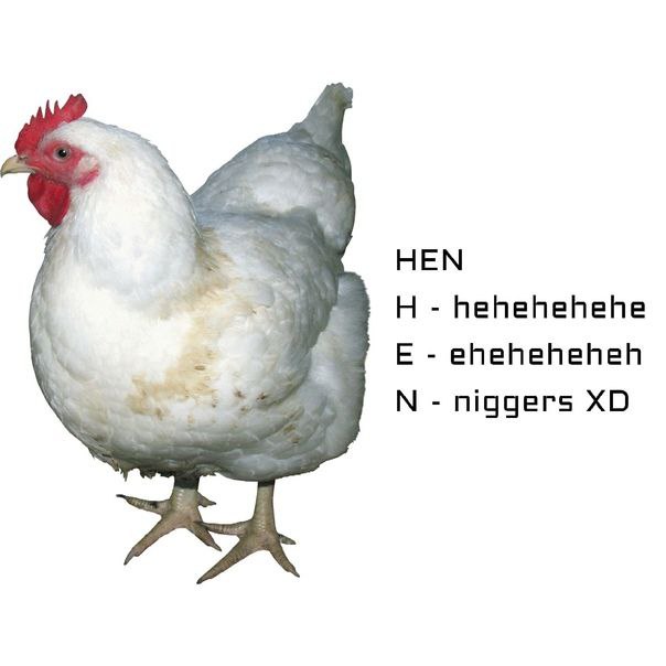 НЕМ hehehehehe eheheheheh niggers