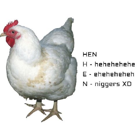 НЕМ hehehehehe eheheheheh niggers