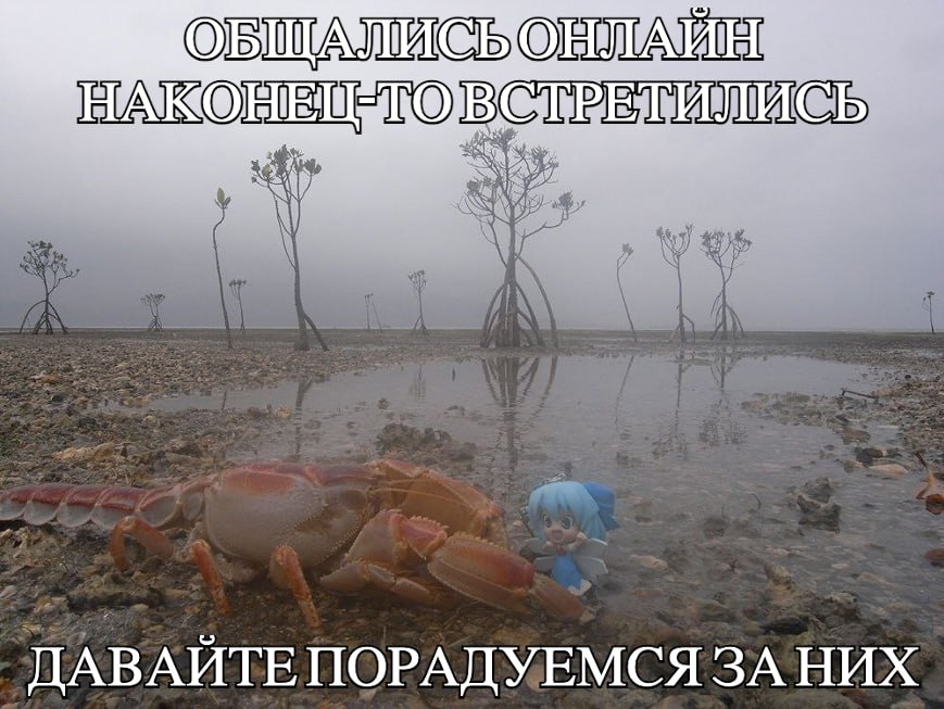 ОБЩАЛИСЬ MOB ДАВАЙТЕ ПОРАДУЕМСЯ ЗА НИХ