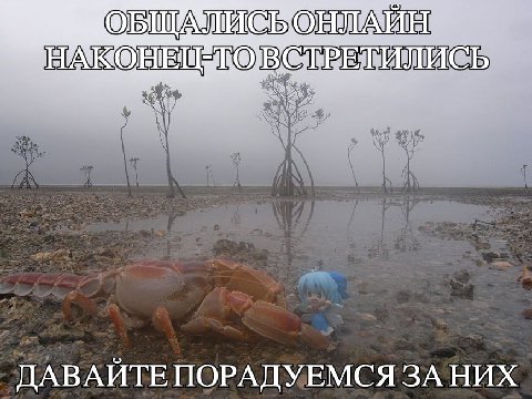ОБЩАЛИСЬ MOB ДАВАЙТЕ ПОРАДУЕМСЯ ЗА НИХ