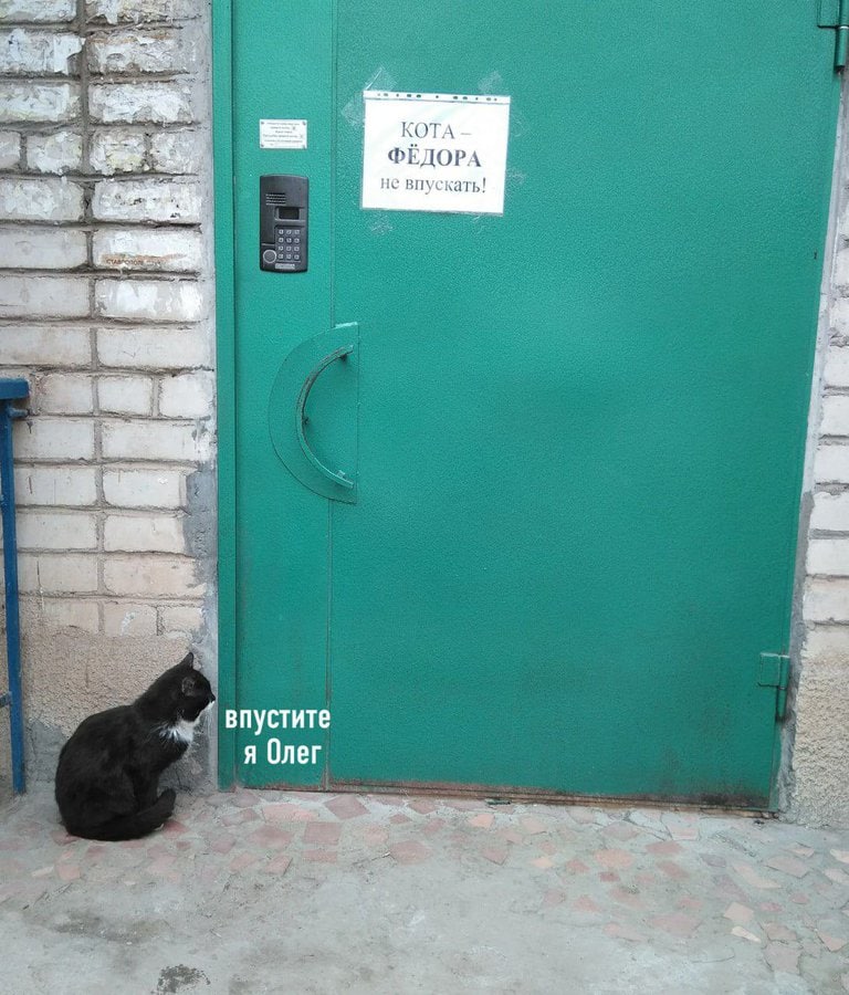 КОТА ФЕДОРА не впускать! ‘a a впустите я Олег