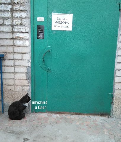 КОТА ФЕДОРА не впускать! ‘a a впустите я Олег