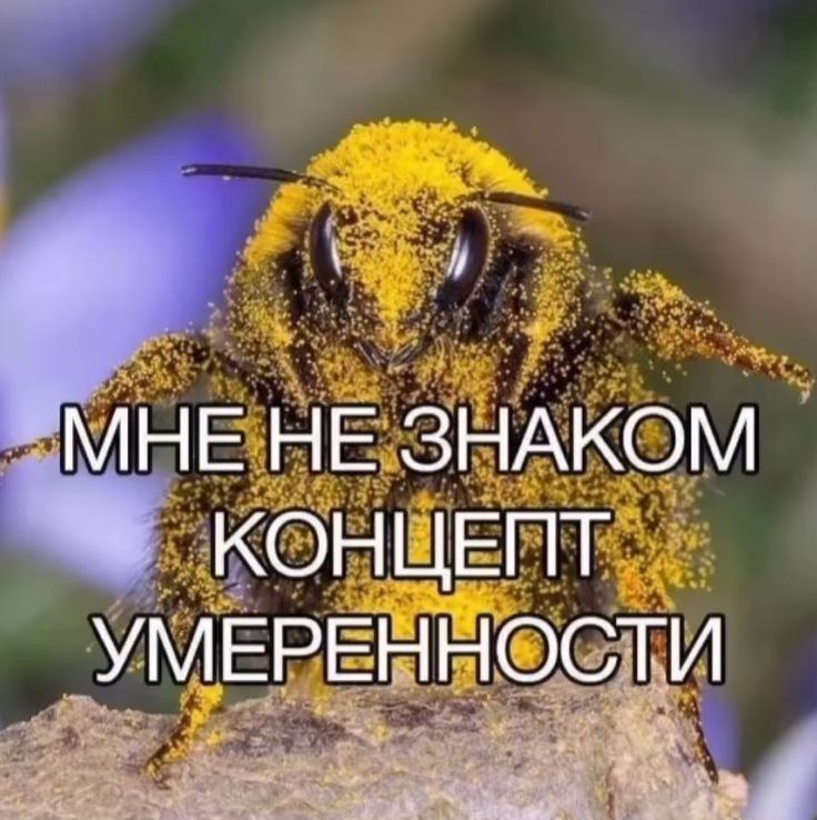 МНЕ НЕ ЗНАКОМ КОНЦЕПТ УМЕРЕННОСТИ